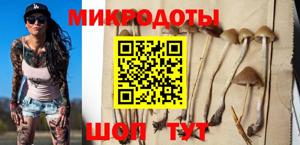 Псилоцибиновые грибы Psilocybe  Галлюциногенные грибы Magic Shrooms  Вход с VPN  Череповец 